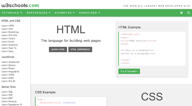 Learn Programming for free