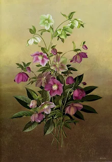 Paul Jones 1921-1997 ~ Australian painter | Flowers of May