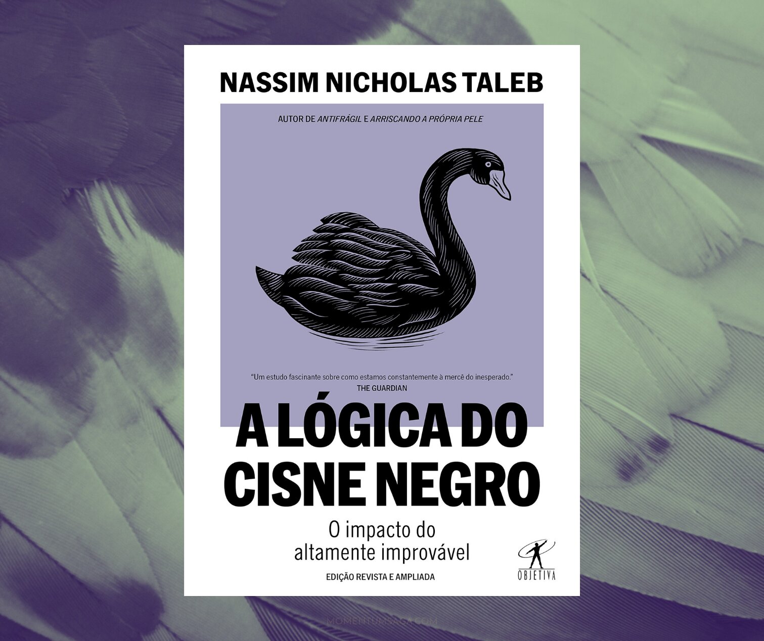 Resenha: A lógica do Cisne Negro, de Nassim Nicholas Taleb
