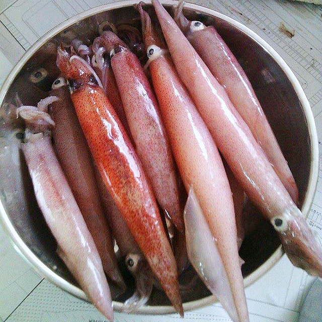 Mực trứng loại A muc trung loai A