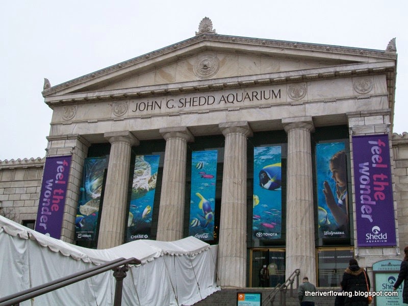 The River On the Road Friday Shedd Aquarium Chicago, Illinois