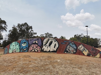 Wagga Wagga Street Art | Ashmont Skate Park mural by Styles400_ & Kyle Pearson