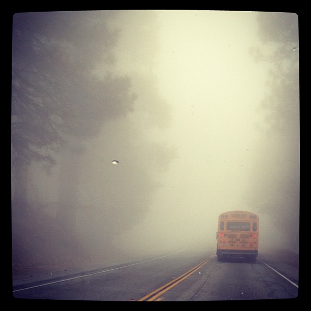thick fog, road, bus
