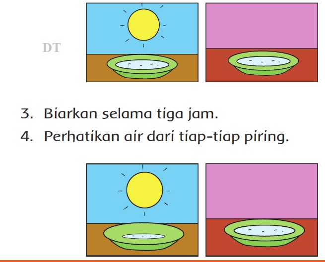 Materi dan Kunci Jawaban Buku Siswa Tema 3 Kelas 3 Halaman 142, 144