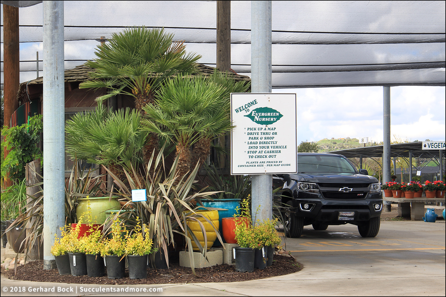 The Green Room My first drivethrough nursery experience Evergreen