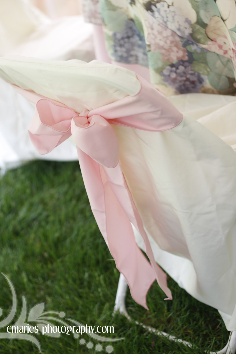C.MARIE'S PHOTOGRAPHY BLOG Decorations Plus Findlay Party Rentals