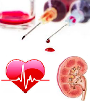 Tes Kimia Dalam Darah