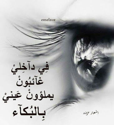 9c59be90eac0c4d57c2bd3bc2b1dd7b4