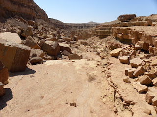 Negev Wadi 2009