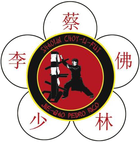 Shaolin Choy Li Fut: Kung Fu y Tai Chi Zaragoza