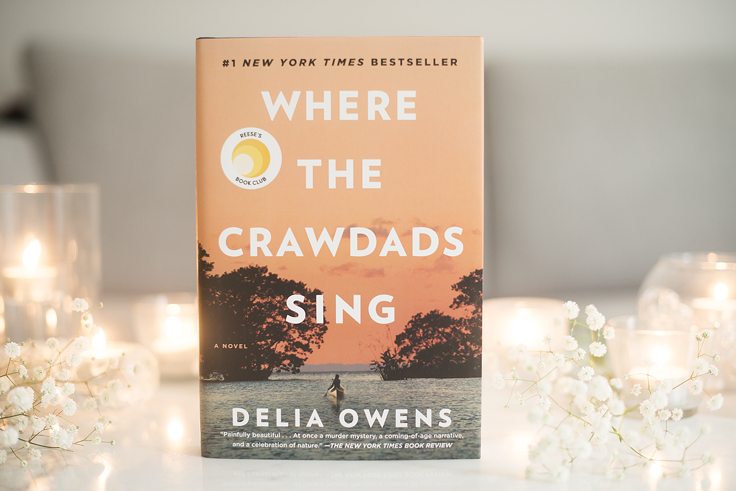 Where The Crawdads Sing