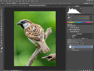 How to Make a New Pattern in Photoshop