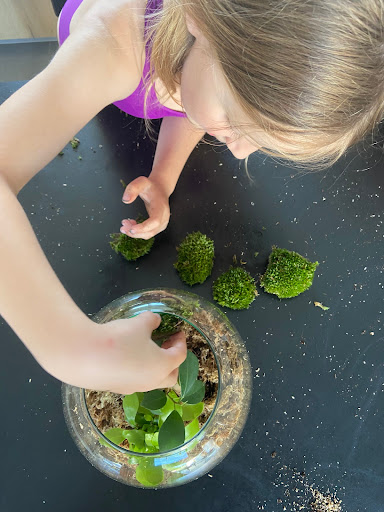 Un Kit Terrarium DIY grâce à Boby La Plante - Julesetmoa