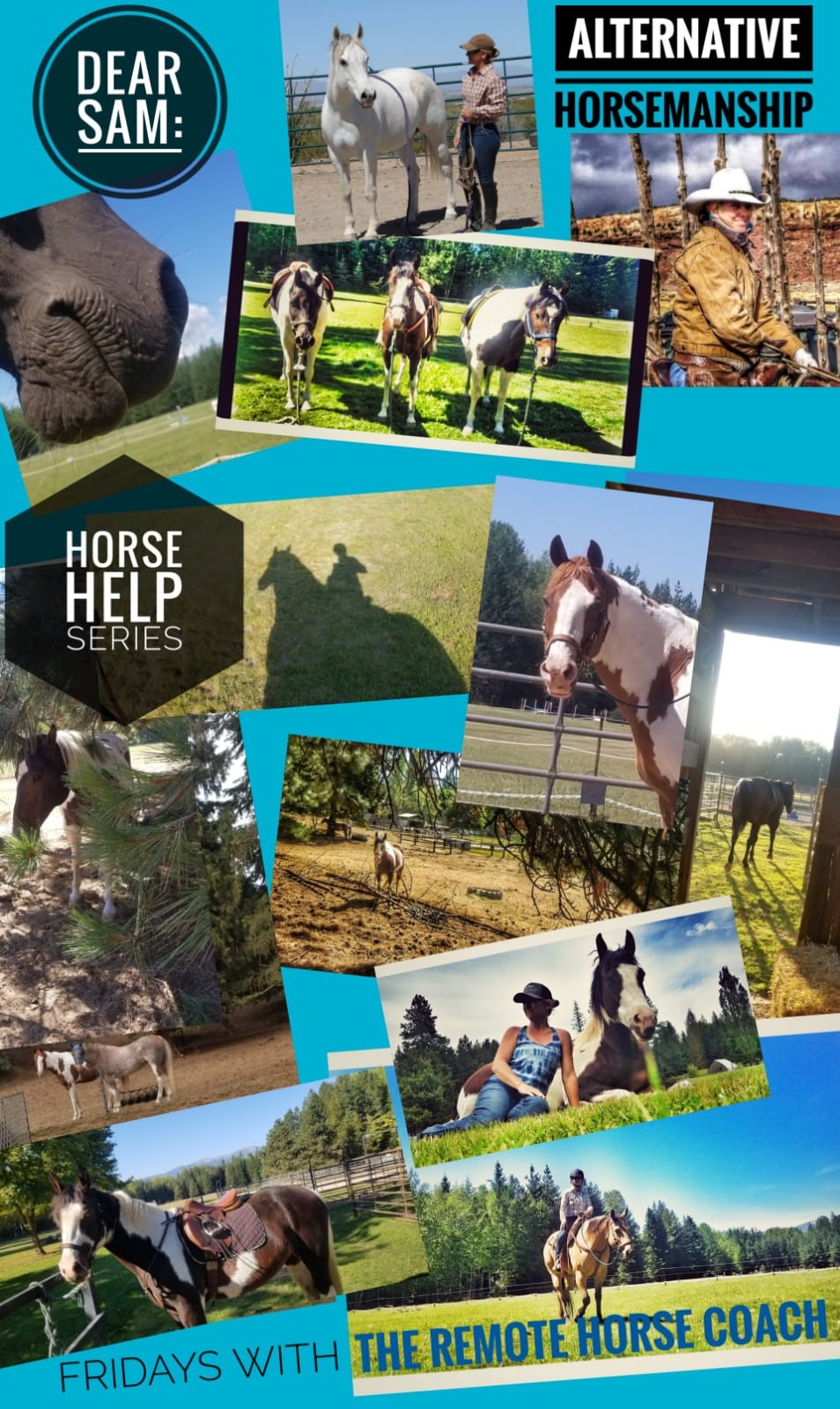 Dear Sam: Horse Help Horsemanship Series