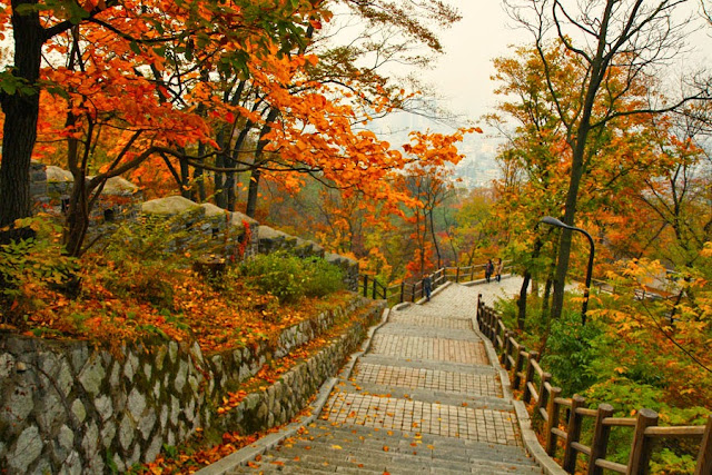 Image result for Namsan park