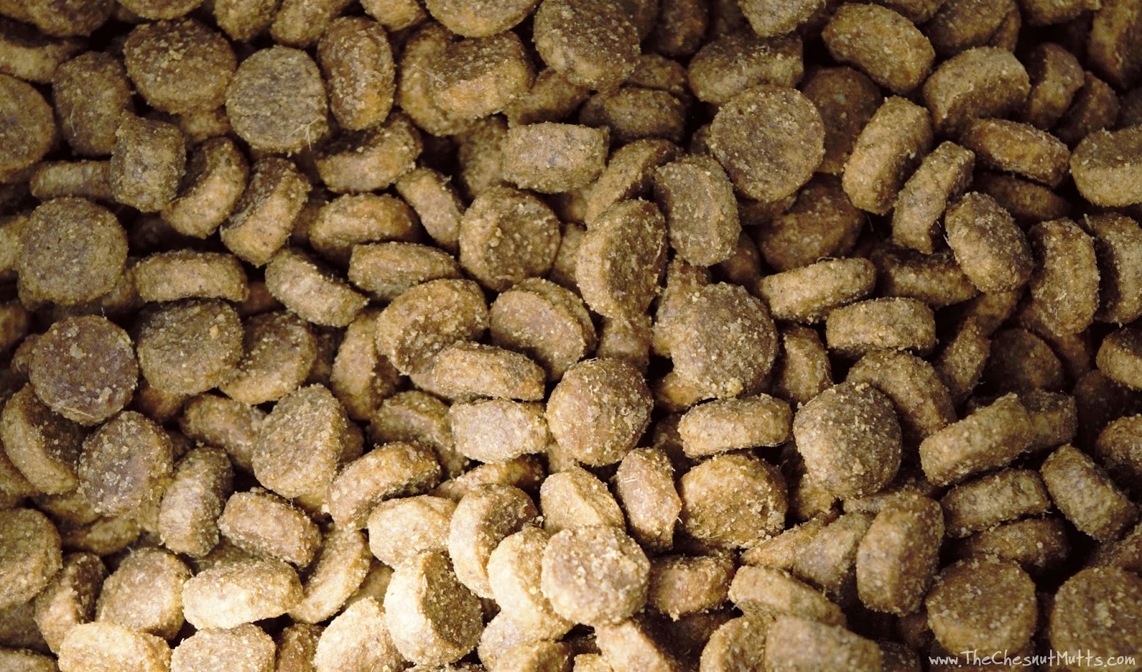 Review & Giveaway Improve Your Dog's Kibble with Brothers Complete