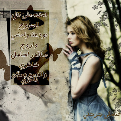 shof_8471e6f674d904c