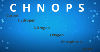 biogeochemical cycle