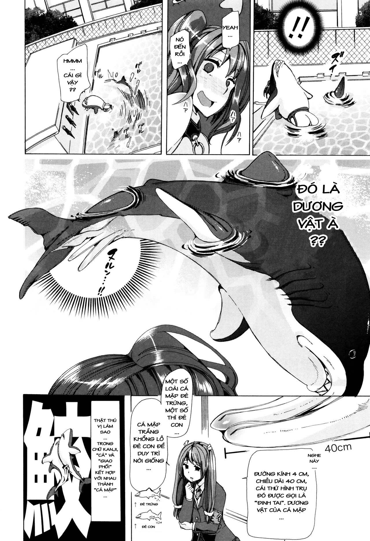 Những cô nàng làm tình với động vật - Chap 4 - Truyện Hentai