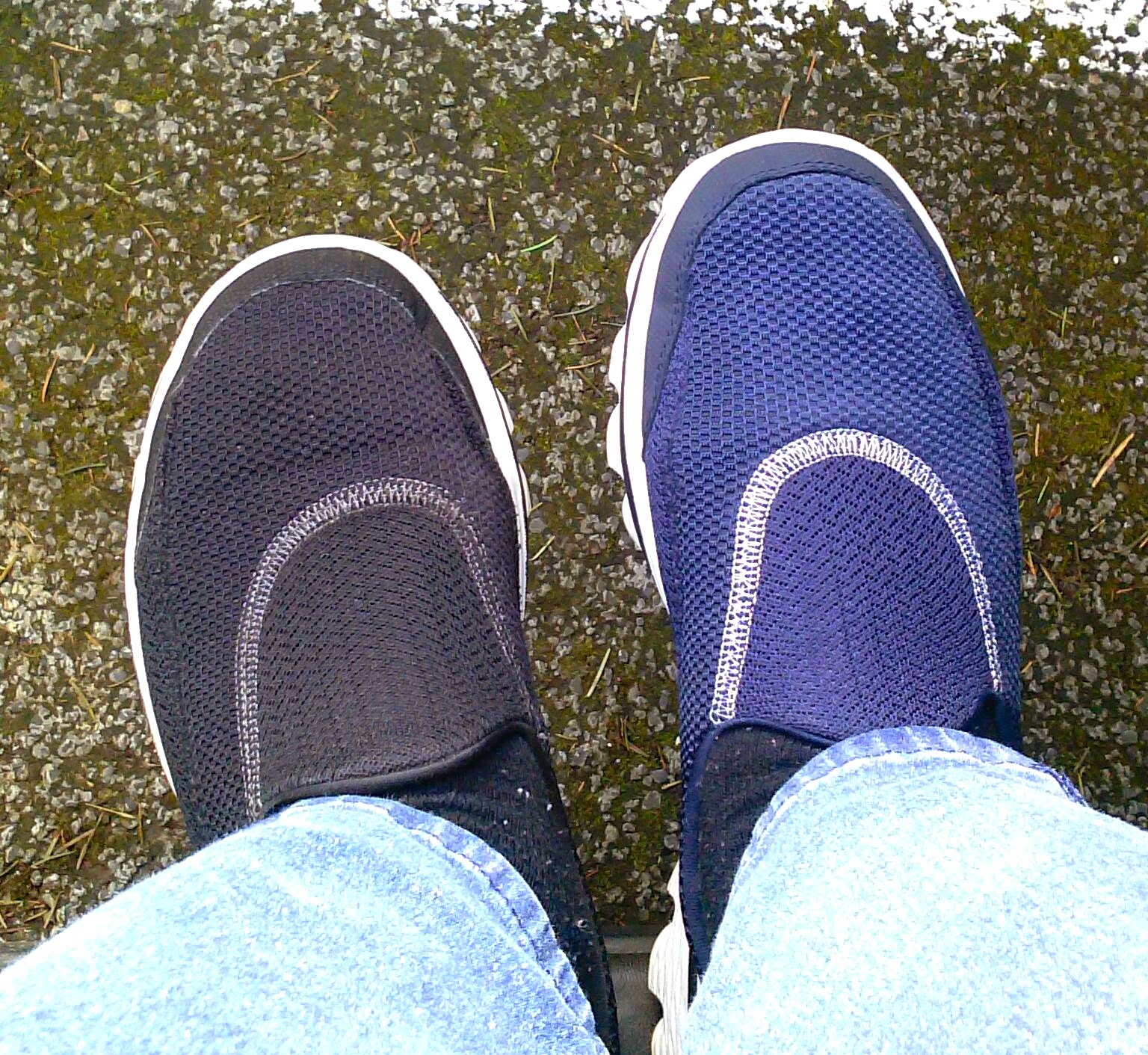 Reasonably Well Guess Who?