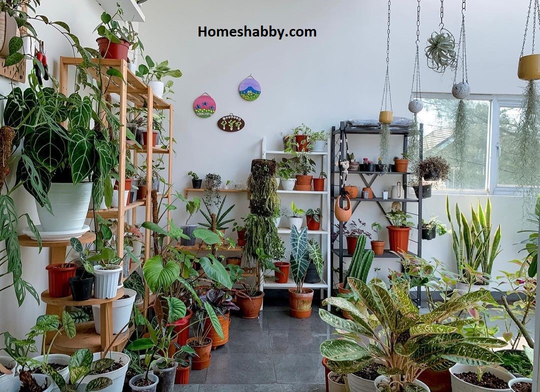 Ide Desain Rumah Kecil Tapi Cantik, Maksimalkan Sudut Ruang Untuk