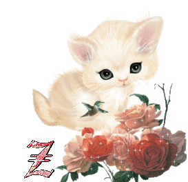 Abecedario Animado de Gatito Bebé con Rosas. Baby Cat With Roses Alphabet.