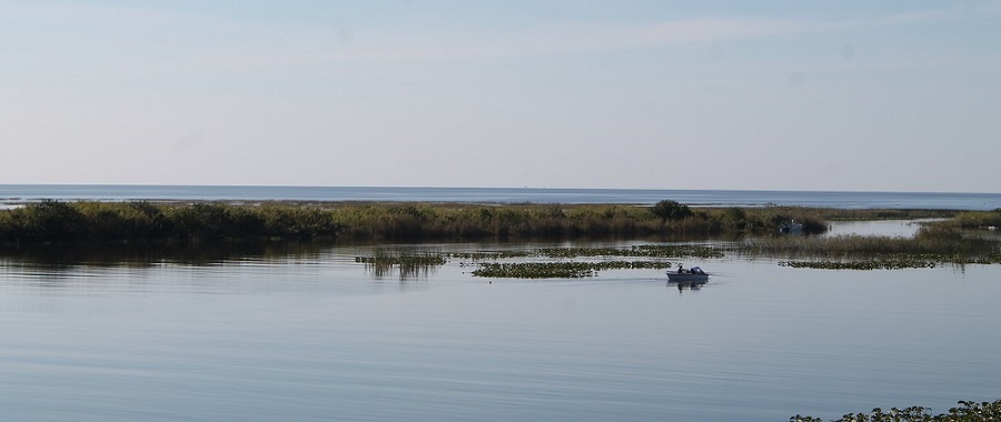 Paisajes del lago Okeechobee Paisajes del lago Okeechobee