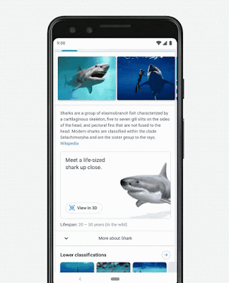 Der weiße Hai in AR in der Google Suche