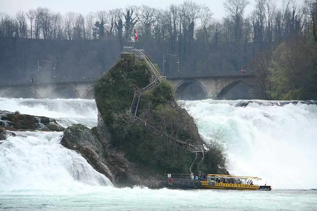 Rheinfallfelsen.