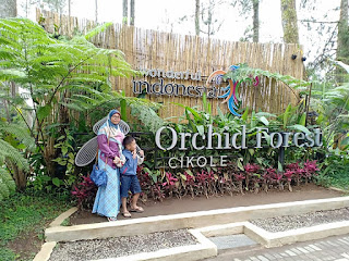 Orchid  Forest Lembang