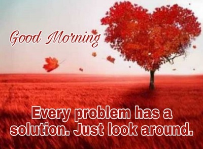 Amazing Images of Good Morning Wishes with Flowers Amazing Images of Good Morning Wishes with Flowers