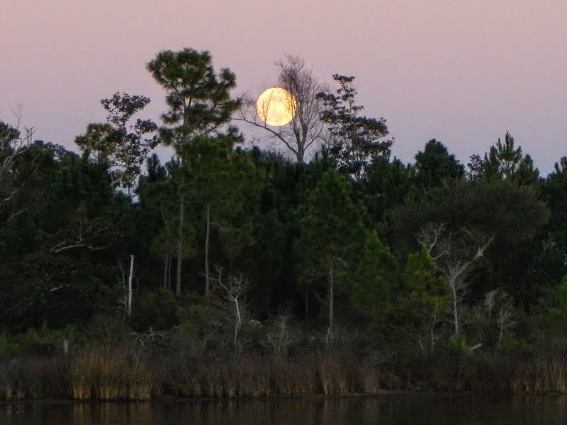 Things we did today... Pirate's Cove