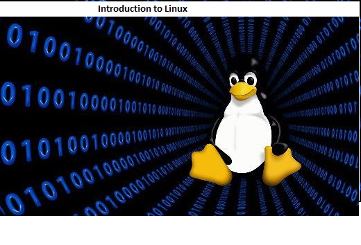 Introduction to Linux - www.techiev.com