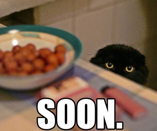 soon meme pictures, funny animal pictures, funny animals, soon meme animals