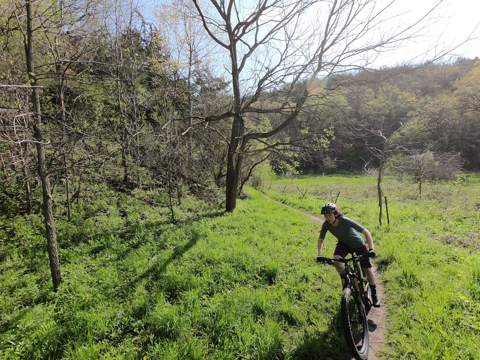 the pines mountain bike trails