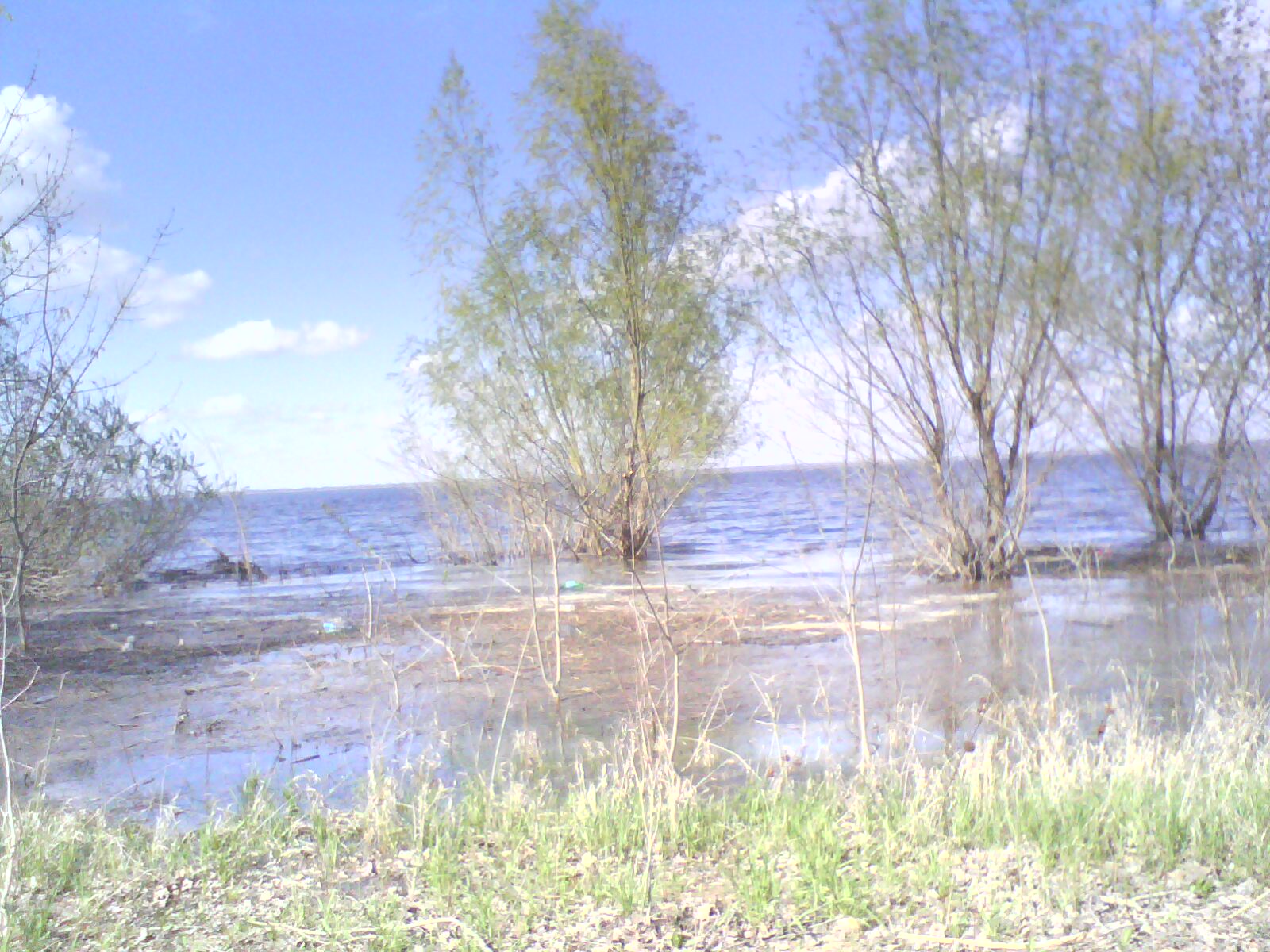 Полесье на волге