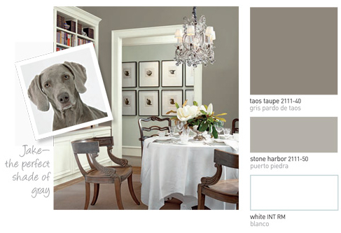 C.B.I.D. HOME DECOR and DESIGN: STALKING COLOR