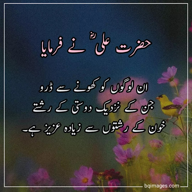hazrat ali quotes in urdu for friends