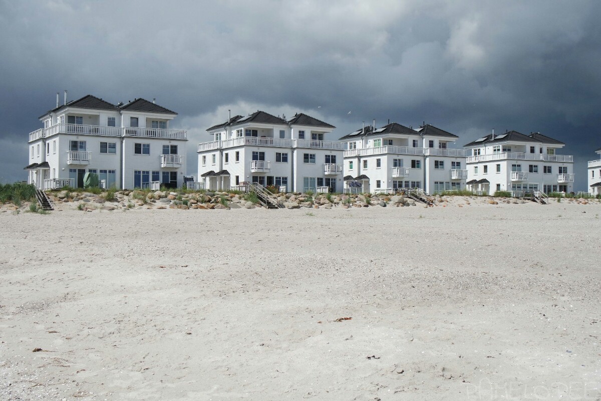 Calluna Magazin Februar 2019