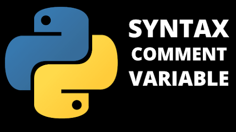 Python Syntax, Comment and Variable