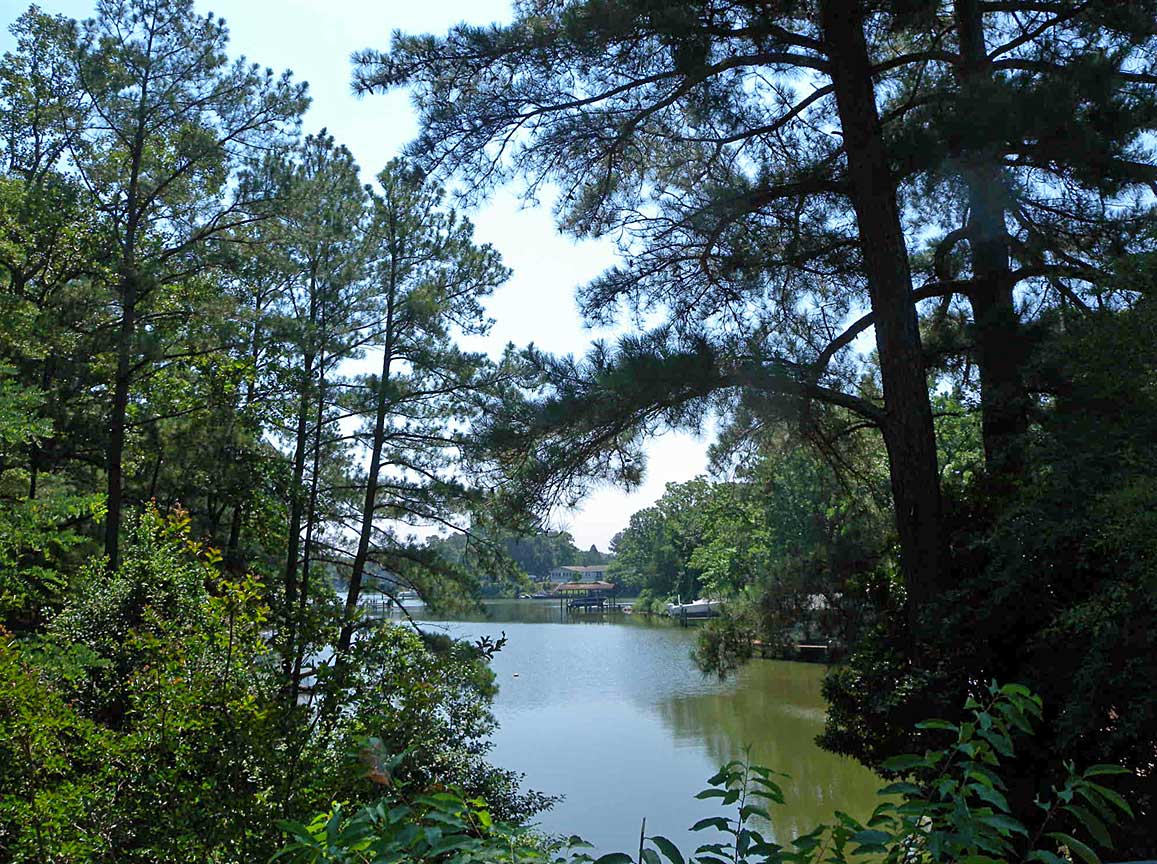 The View from Squirrel Ridge House At Glebe Harbor Waterfront!