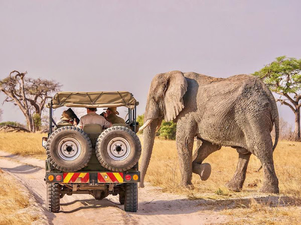 رحلات السفاري الأفريقية