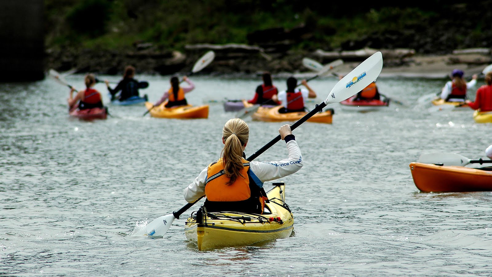 Kayak Rental Portland Maine Kayak Choices
