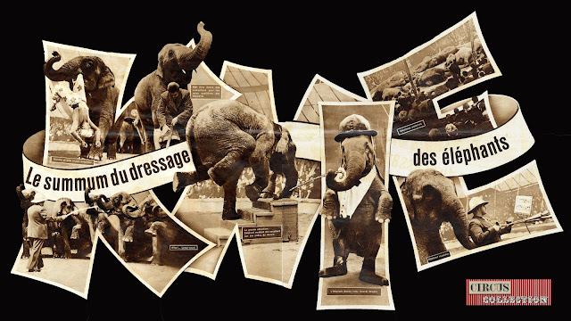melange de photos des numéros d'éléphants de Rolf Knie senior 