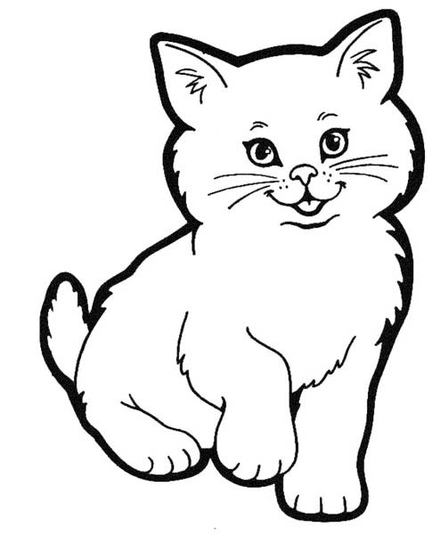 6600 Koleksi Gambar Hewan Kucing Untuk Diwarnai Terbaru
