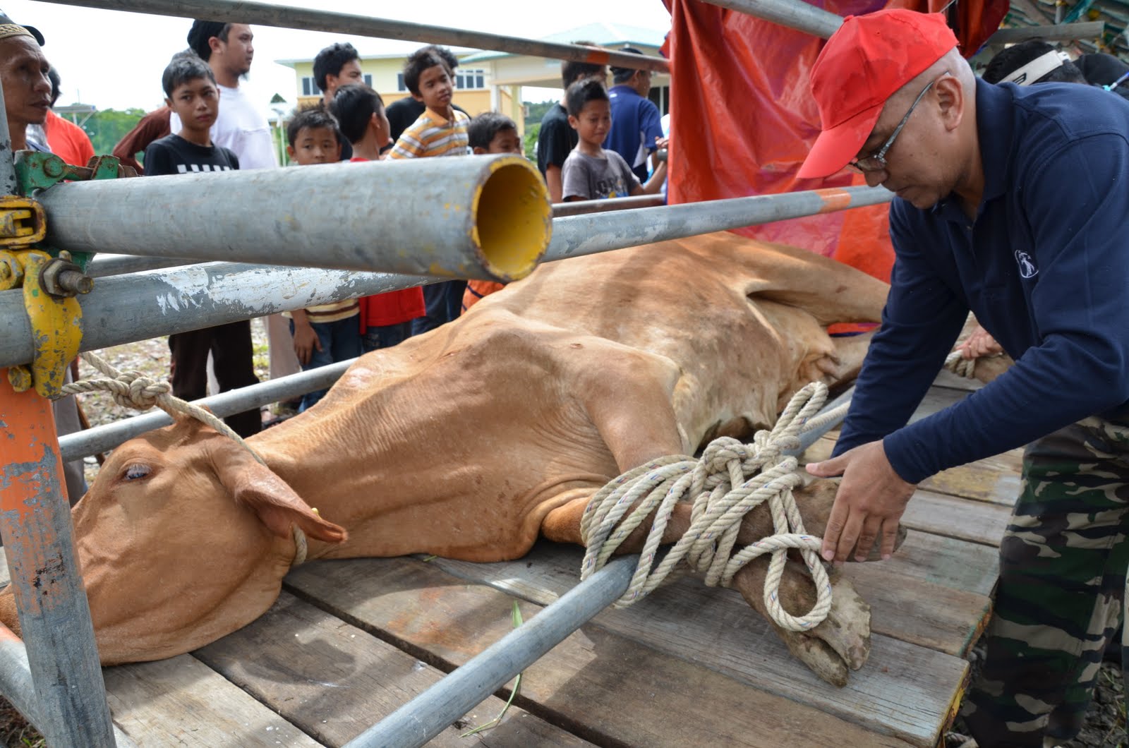 TheStoryOfMyLIFE PartI slaughtering SACRIFICE D Masjid Darul Hidayah Way