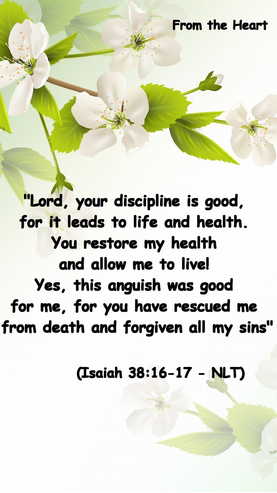 My Odyssey From The Heart Isaiah 38 16 17 my-odyssey-from-the-heart-isaiah-38-16-17