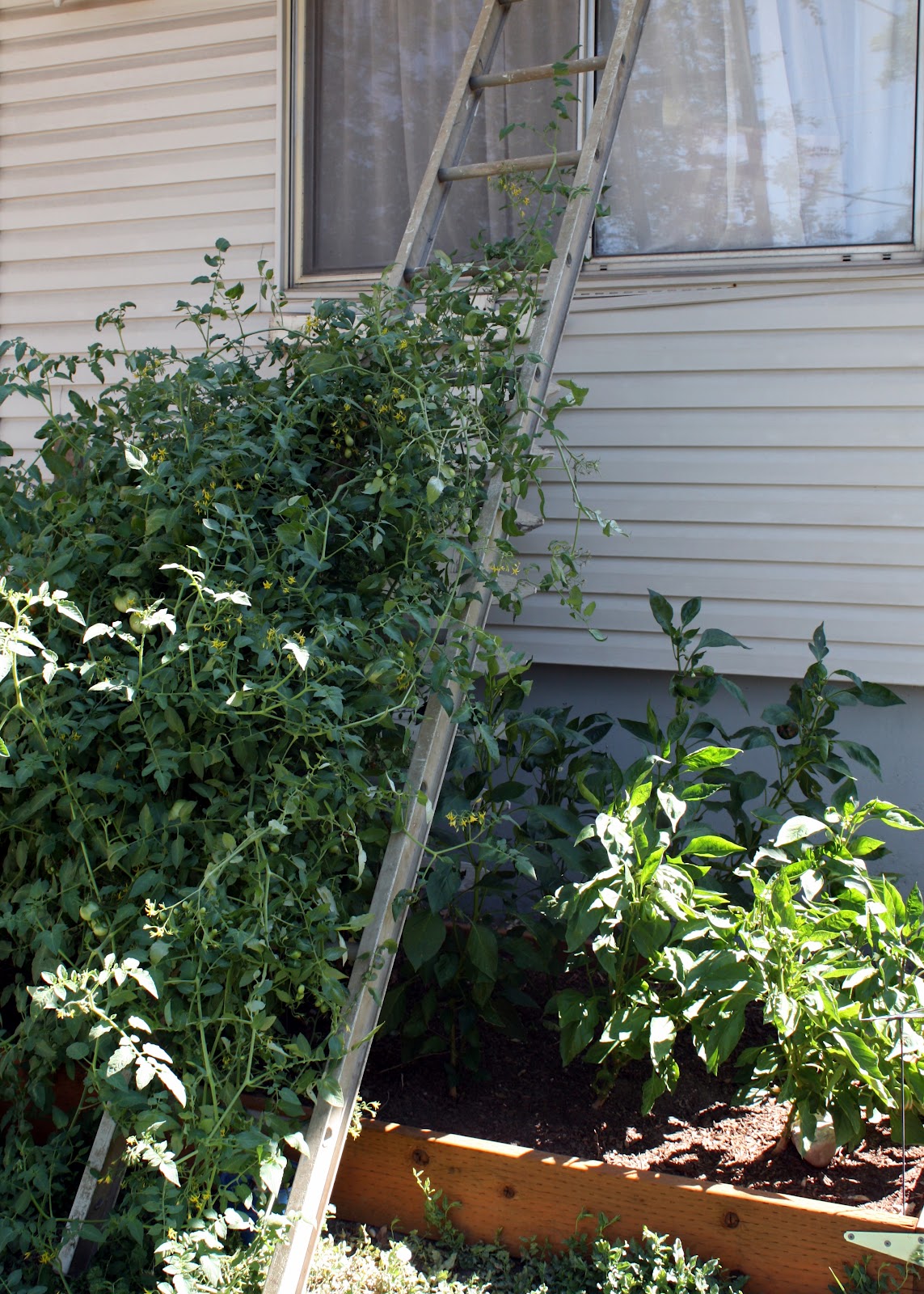 A Good Spot for a Ladder