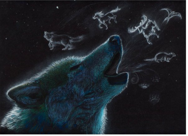 leopard: Wolf Anime Wallpaper