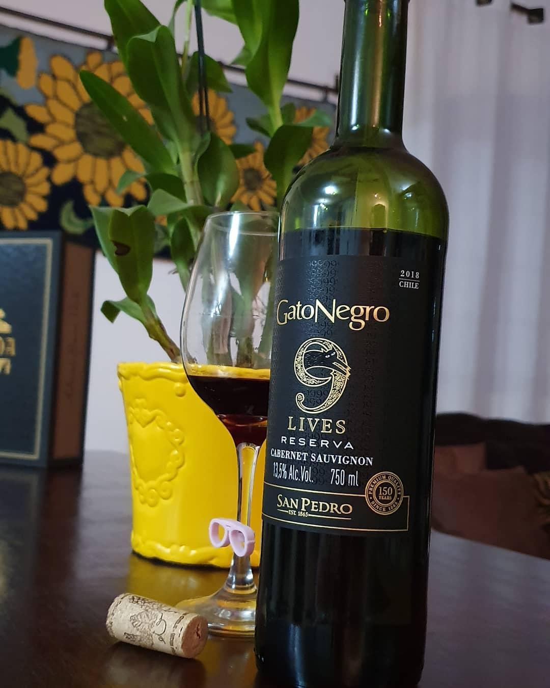 Apreciadoras de vinhos: Vinho Gato Negro 9 lives Reserva
